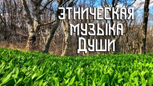 Этническая Музыка Души / Весна в Лесу / Флейта Свирель