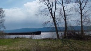 Наши лесные прогулки 🌲🌳🌲🌳