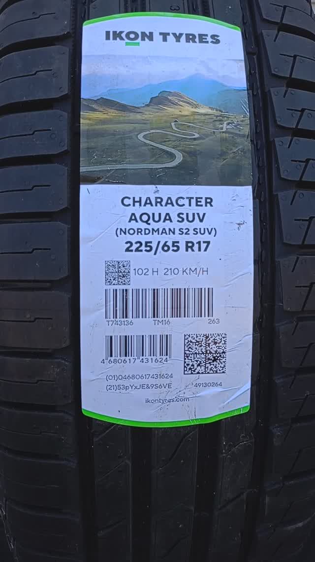 Шины летние Ikon Character Aqua SUV 225/65R17 102H T743136 (T731711)