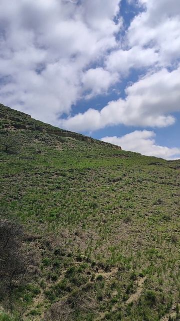 гора брык.подножье