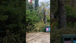 #Сочи парк Аттракционов. г.Сочи . 9 мая 2025 год Вход