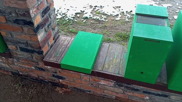 Капризы природы (что сделал вчера) 25 апреля 2026 год...