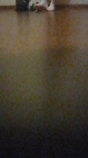 пранк над лп