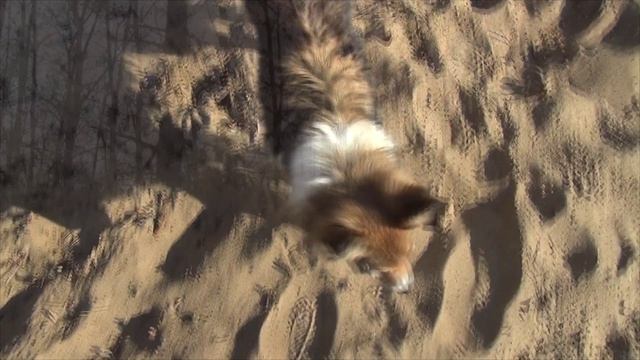 2024 Лета. Левобережный-Химки 20.04