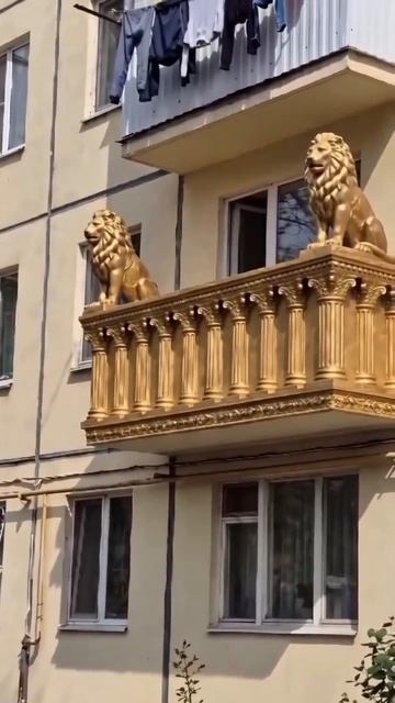 Видео от Департамент Вирусного Контента | ДВК