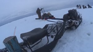 ОТКОПАЛ СОБАКУ И ЗА КОРЮШКОЙ ПОСЛЕ МЕТЕЛИ!