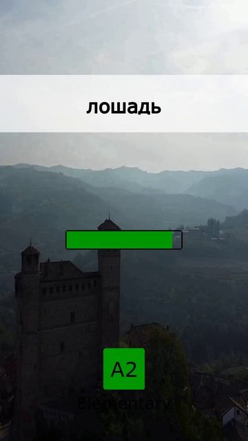 🏃♂️ Английский на бегу: Базовый Английский (11 May 2026)