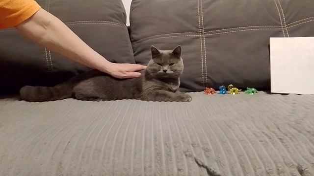 Соревнования Еора.mp4