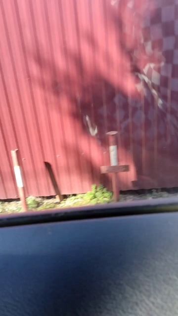 мы едем за мамой