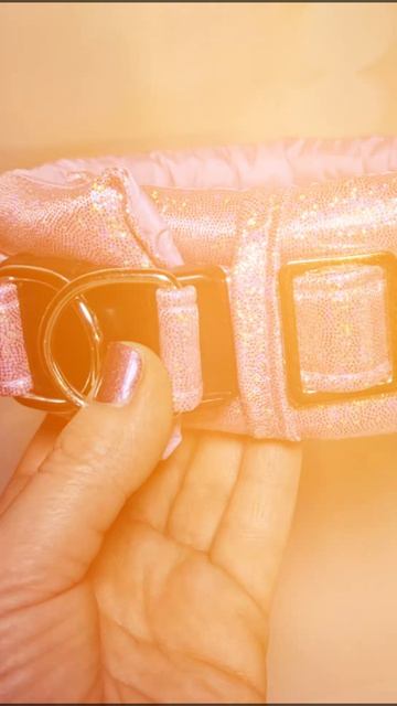 мягкий, широкий ошеник для стандартного пуделя
#ошейник #ошейникдляпуделя #пудель