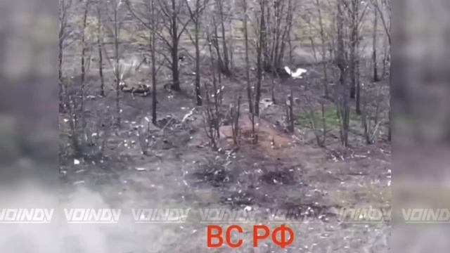 Командная работа 218 танкового полка 127 мотострелковой дивизии: расчеты БПЛА Молния наносят…🔽