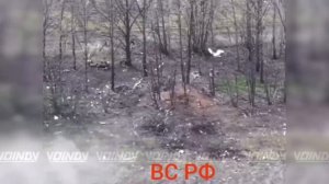 Командная работа 218 танкового полка 127 мотострелковой дивизии: расчеты БПЛА Молния наносят…🔽