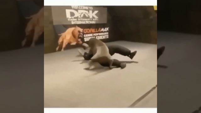 Я чувствую ту же силу, когда гуляю с папой