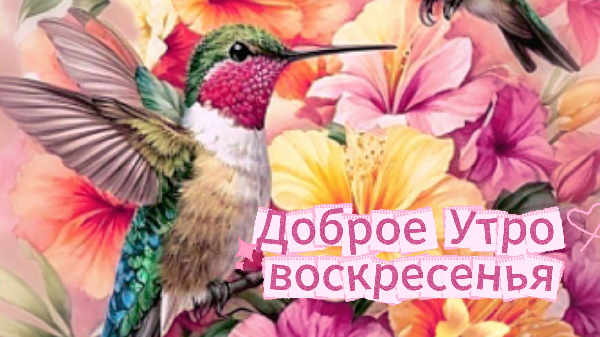 Доброе утро воскресенья: открытки и пожелания | Домохозяйка