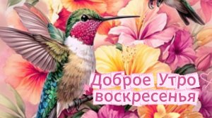Доброе утро воскресенья: открытки и пожелания | Домохозяйка