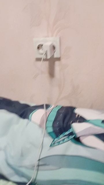 кошка заряжается перед тыгыдыком