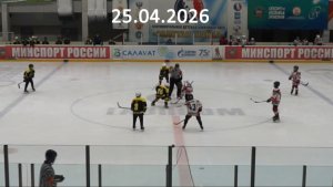 Золотая шайба Пчёлы - Волки 25.04.26