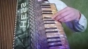 СТАРЫЙ КЛЁН - OLD MAPLE