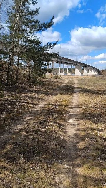 Небо и мост. р.Ока.