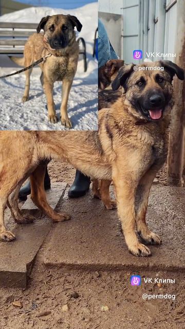 Империя ищет дом!