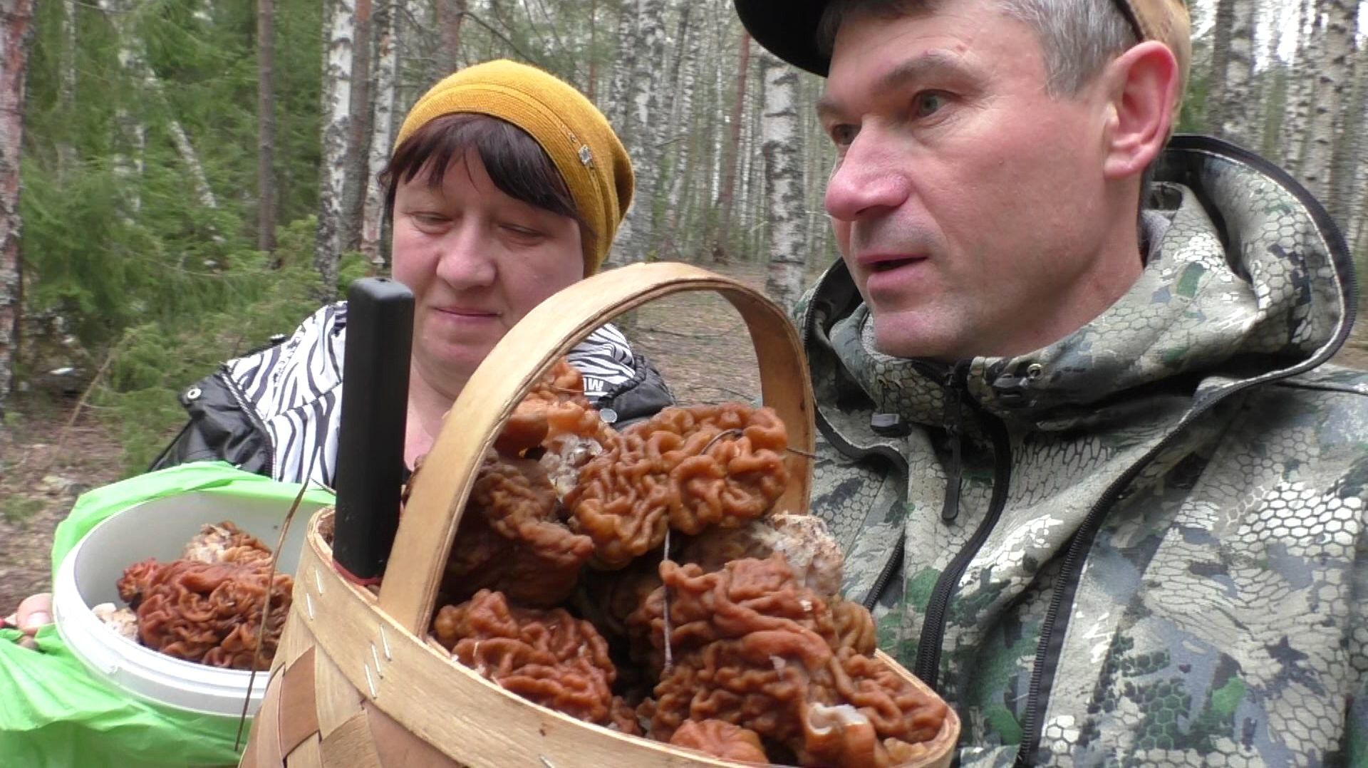 «ЭТО НЕ ШУТКИ!»ГРИБНОЙ УРАГАН! С ЖЕНОЙ В ЛЕС — ПОЛНЫЕ КОРЗИНЫ ЗА ЧАС, ОНА ВСЁ ВИДИТ ПЕРВОЙ🍄