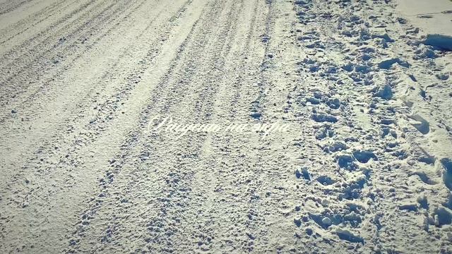 Ты днями и ночами...