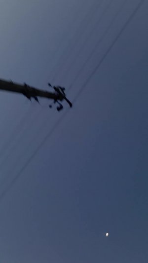 играем в ббешеную бабку