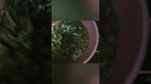 В БАНЕ с РЕБОРНОМ🙀😻.mp4