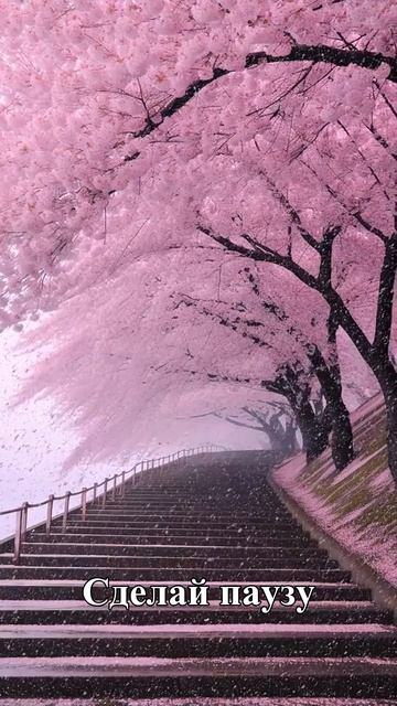 Все уже есть внутри тебя