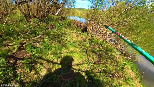 Ловлю на Боковой кивок. Плотва, Елец