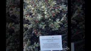 Воспоминания об отдыхе.