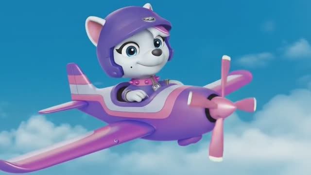 Щенячий патруль, Скай, Маршал, Эверест, Гончик, Крепыш и Роки летают на самолётах. Для детей!