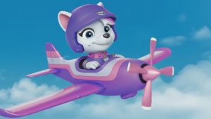 Щенячий патруль, Скай, Маршал, Эверест, Гончик, Крепыш и Роки летают на самолётах. Для детей!