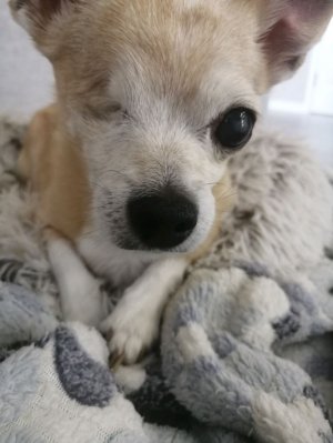 Разбор слова по составу