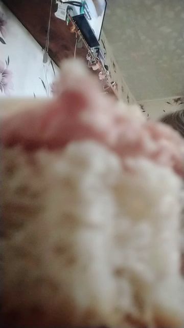 Видео для хейтеров а подписщецы угощаются