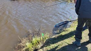 Светлые Горы Форель9 25.04.2026г.