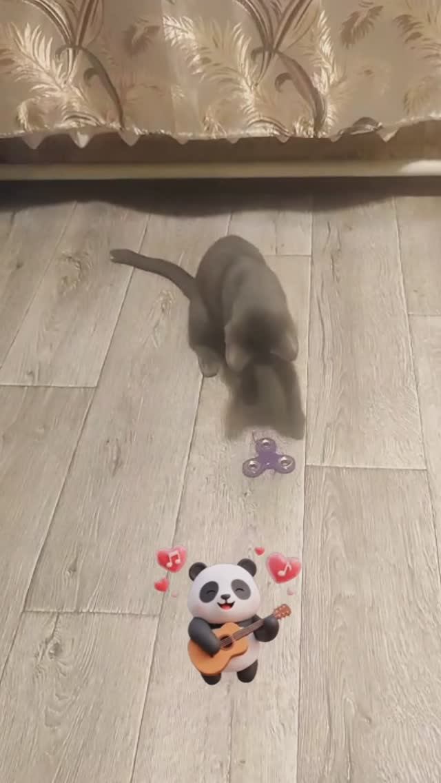 Кеша развлекается!