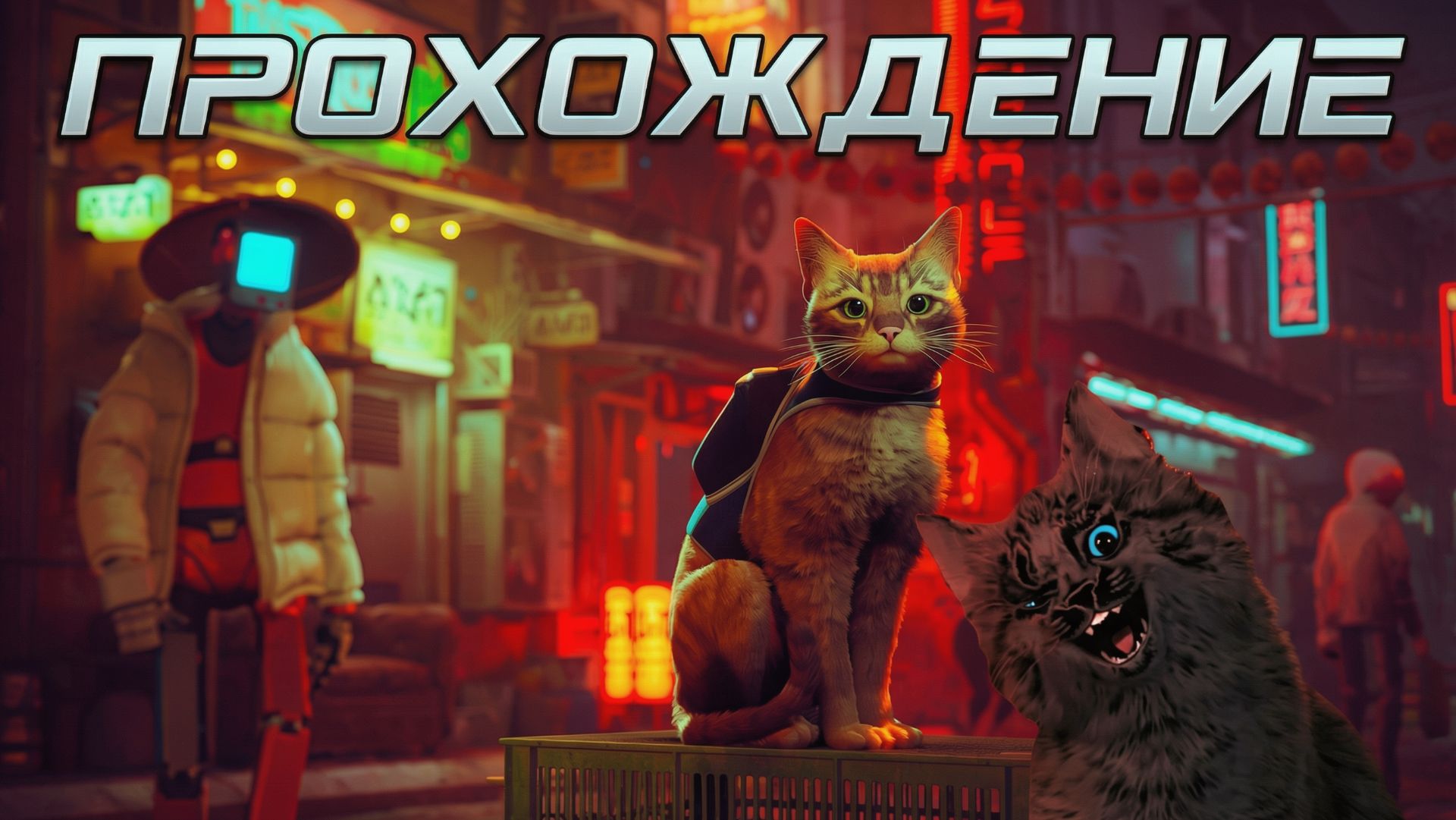 Кошачий переполох | STRAY