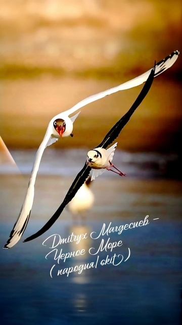 Dmitryx Магдесиев - Черное Море (пародия/skit)