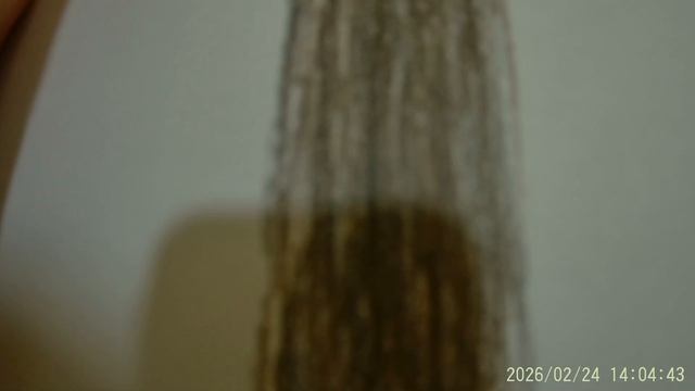 обучение как нарисовать дерево мелками