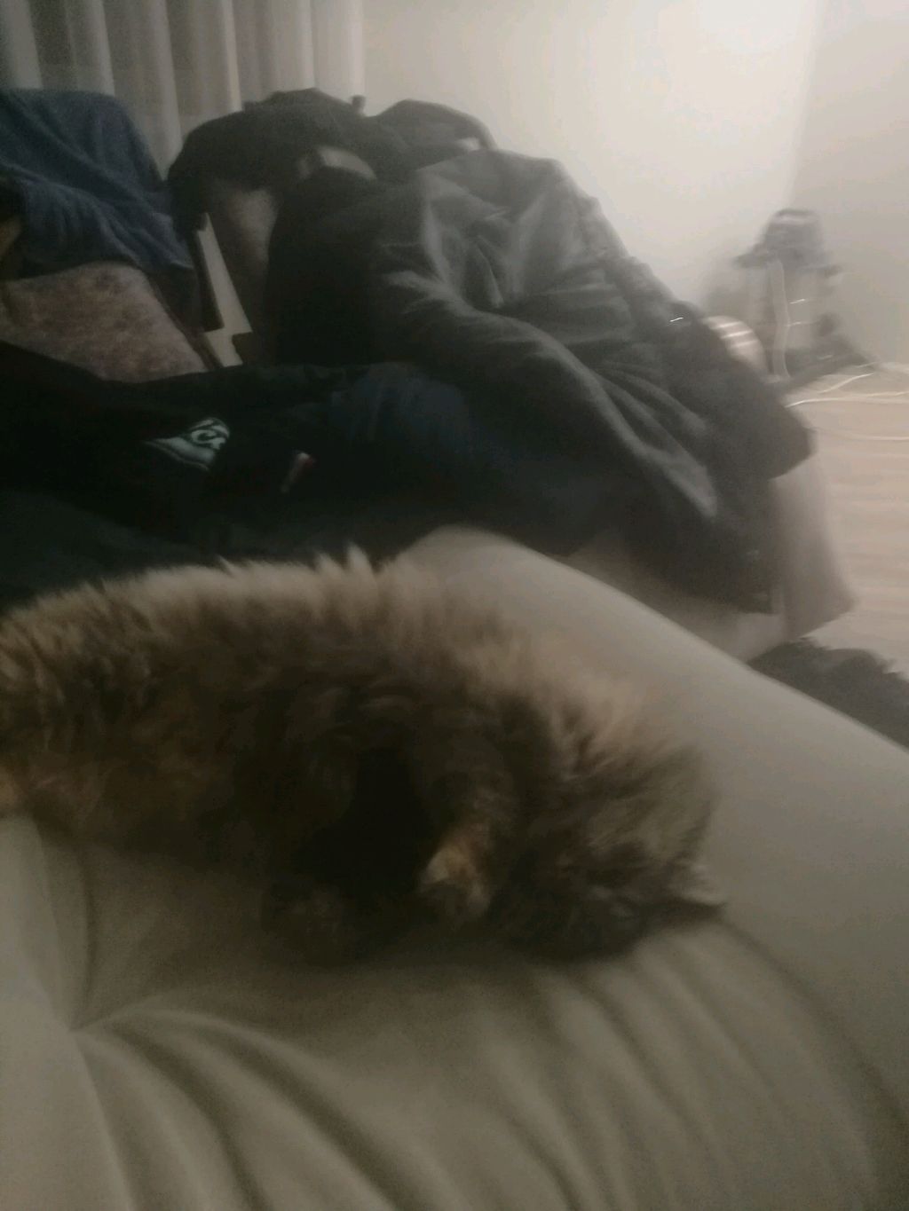 Наверно это бесконечная трансляция.