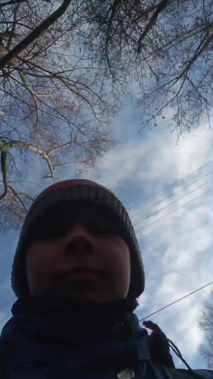помогите!!!