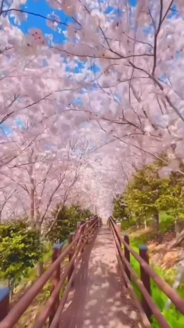 Лучшая дорога жизни. Светлана Андрейченко #вселеннаяя #женщина #стихи #пробуждение #род #дорогажизни