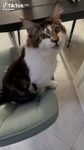 мама 🥰🥰🤗🤗🤗