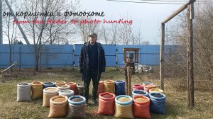 от кормушки к фотоохоте