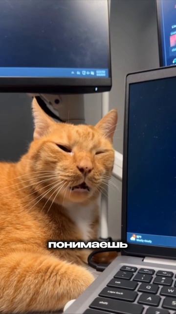 Погоня за комиссией - стыд или нет