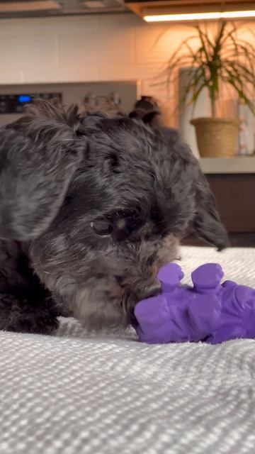 13260818-uhd_2160_3840_60fps