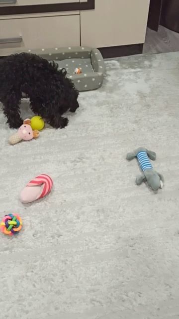 По традиции утренние игры. 😊