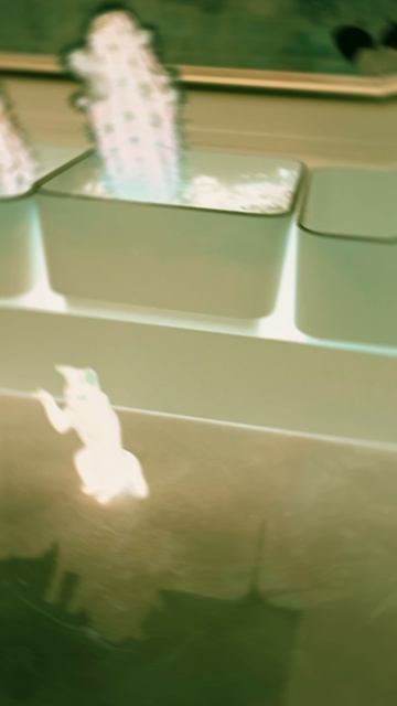 чёрный кот 🐈⬛ ⚫⚫⚫