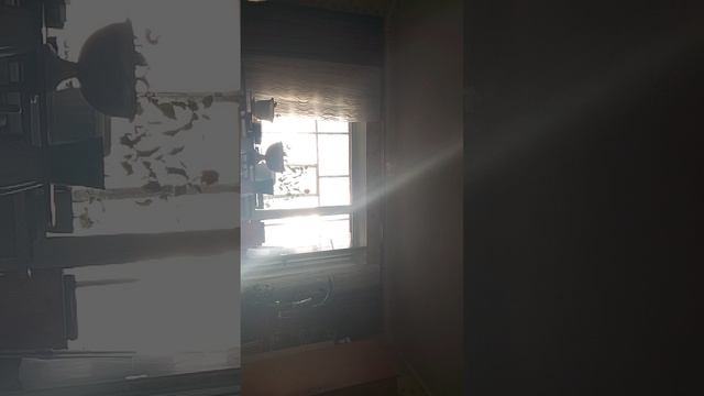 как. как моя камера засекла дарика, и он сказал плохие слова про подписчиков????????????¿??????